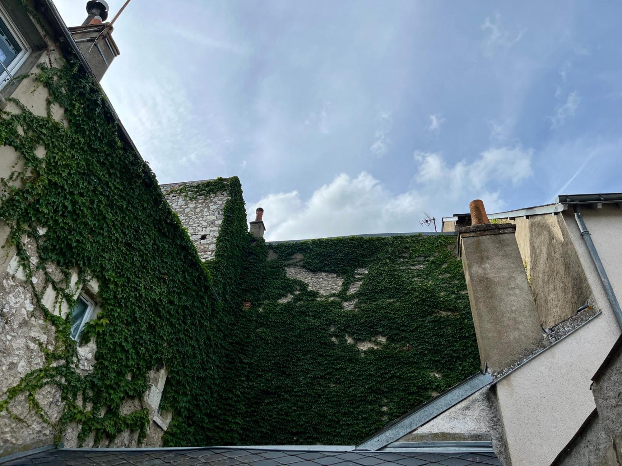 2 Suites, Cour Privee, Climatisation, Le Nid De Blois Vienne Extérieur photo